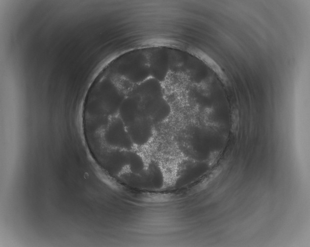X0000111461039200908101050