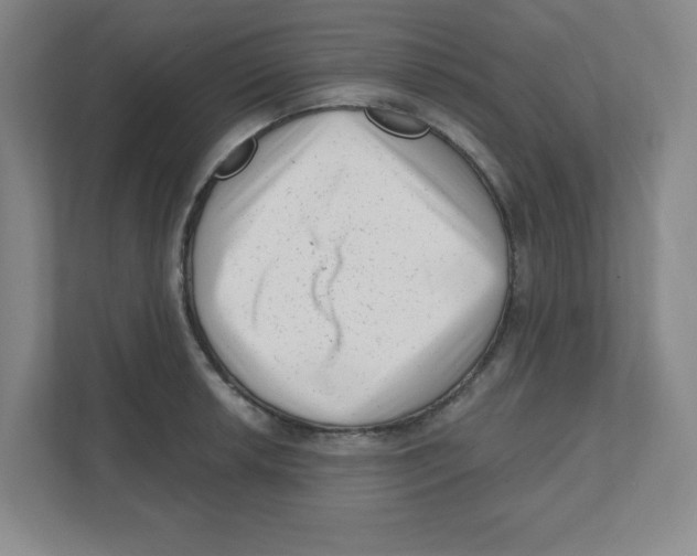 X0000111461042200908101050