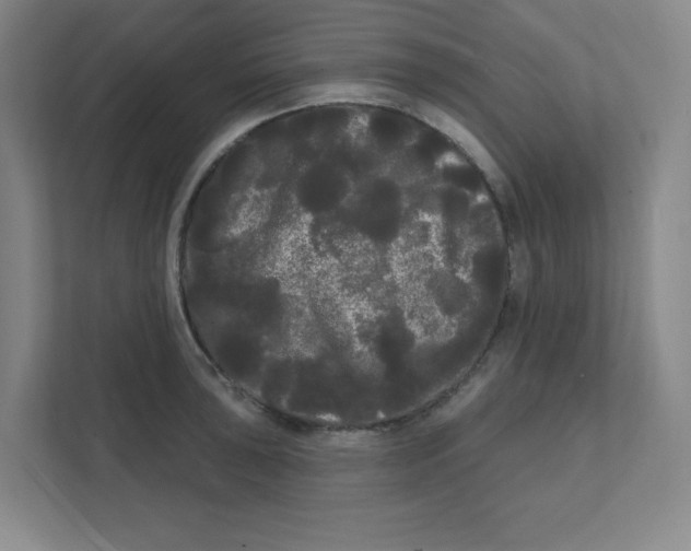X0000111461043200908101050