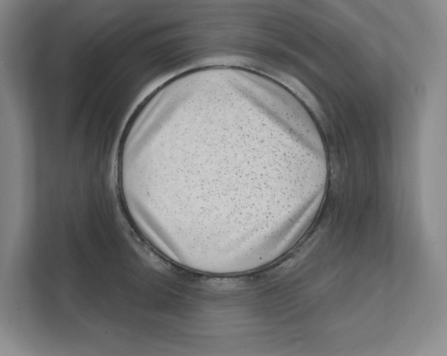 X0000111461044200908101050