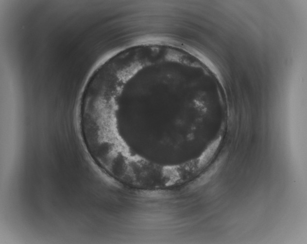X0000111461045200908101050