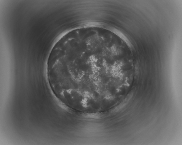 X0000111461047200908101050