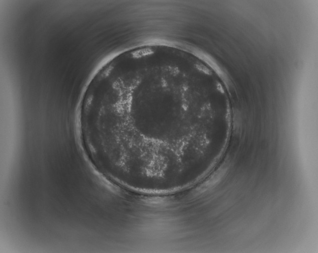 X0000111461048200908101050