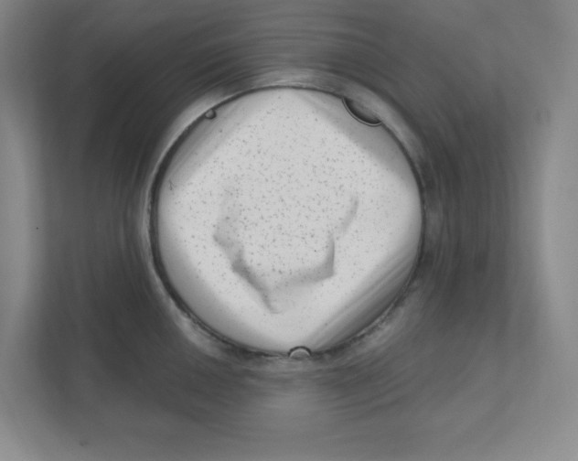 X0000111461050200908101050
