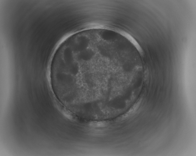 X0000111461051200908101050