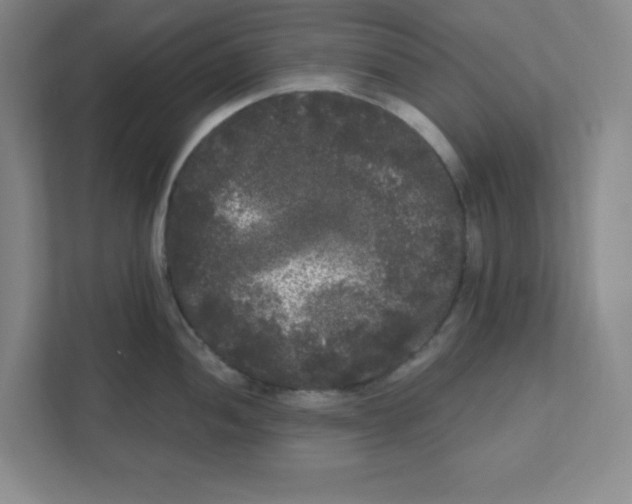 X0000111461052200908101051