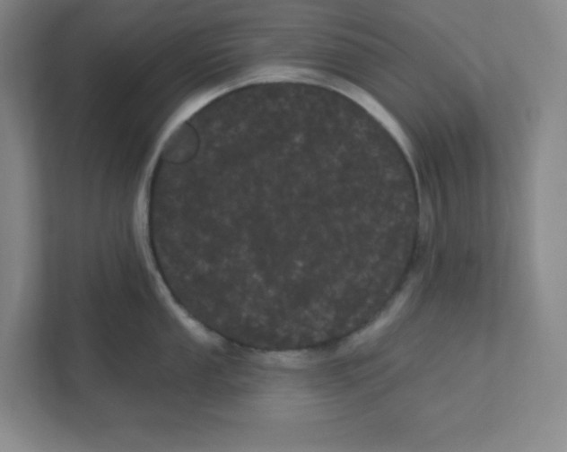 X0000111461053200908101051