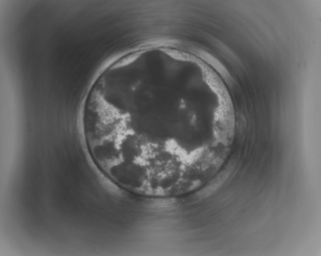 X0000111461055200908101051