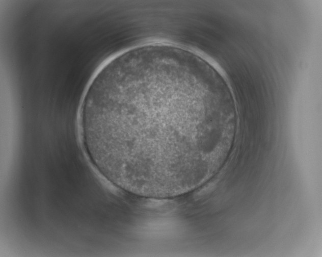 X0000111461056200908101051