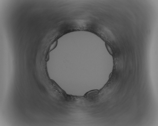 X0000111461057200908101050