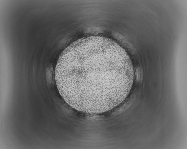 X0000111461059200908101050