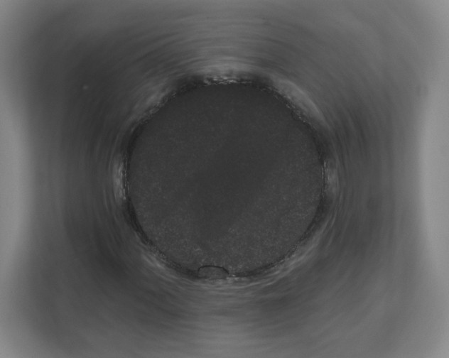 X0000111461060200908101050