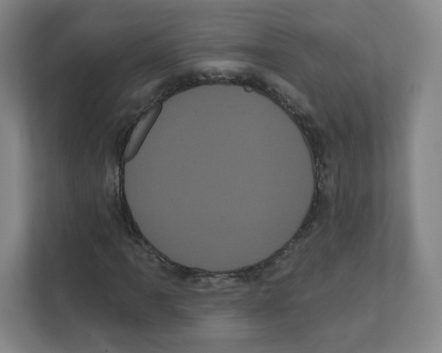 X0000111461061200908101050