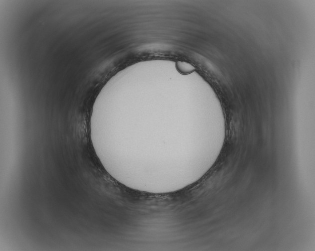 X0000111461062200908101050