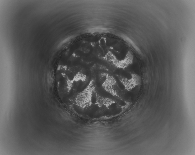 X0000111461063200908101050