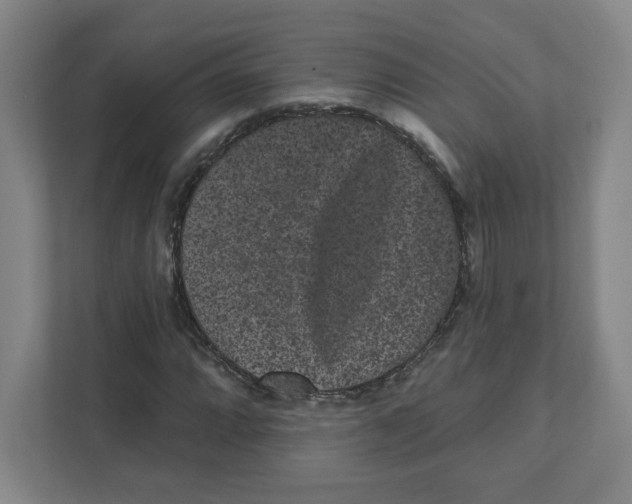 X0000111461064200908101050
