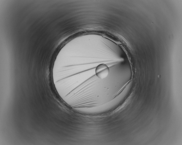 X0000111461065200908101050