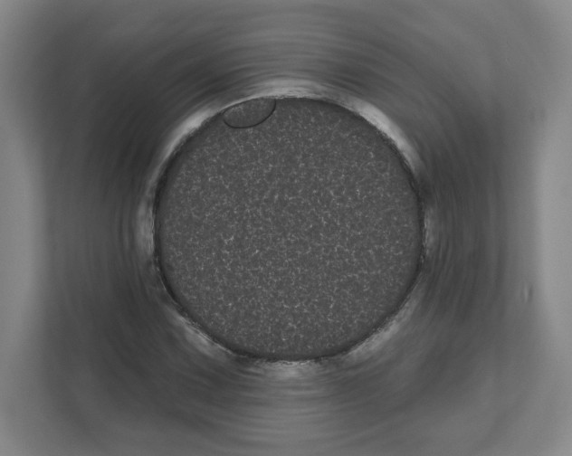 X0000111461067200908101050