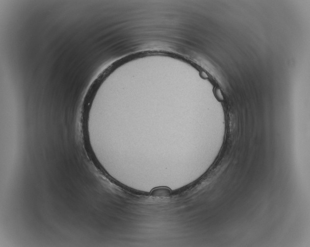 X0000111461068200908101050