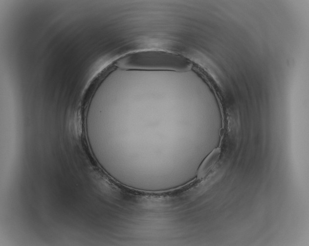 X0000111461069200908101050