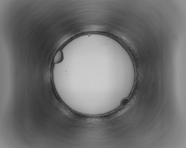X0000111461073200908101050
