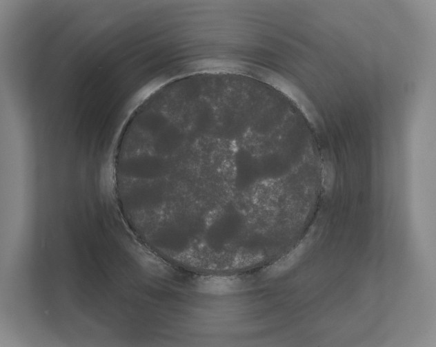 X0000111461074200908101050