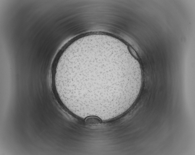 X0000111461076200908101050