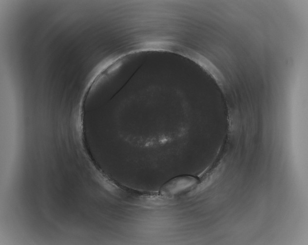 X0000111461077200908101050