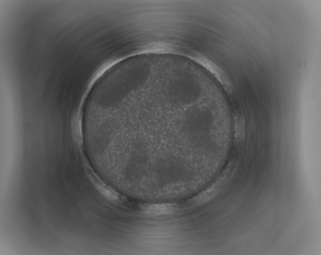 X0000111461078200908101050