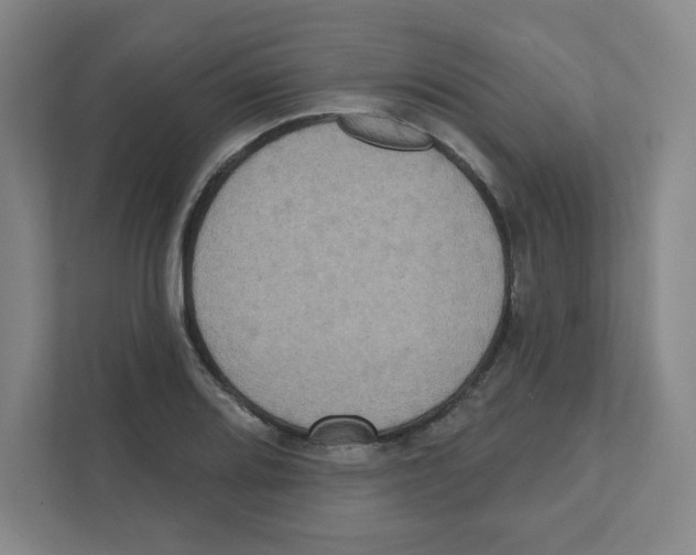 X0000111461080200908101050