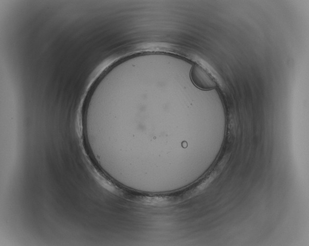 X0000111461082200908101050