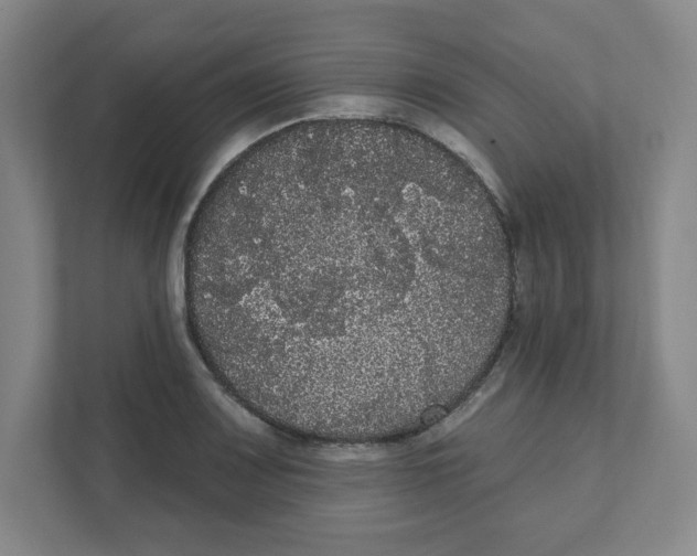 X0000111461083200908101050