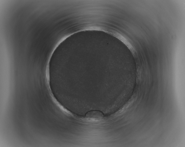 X0000111461084200908101050