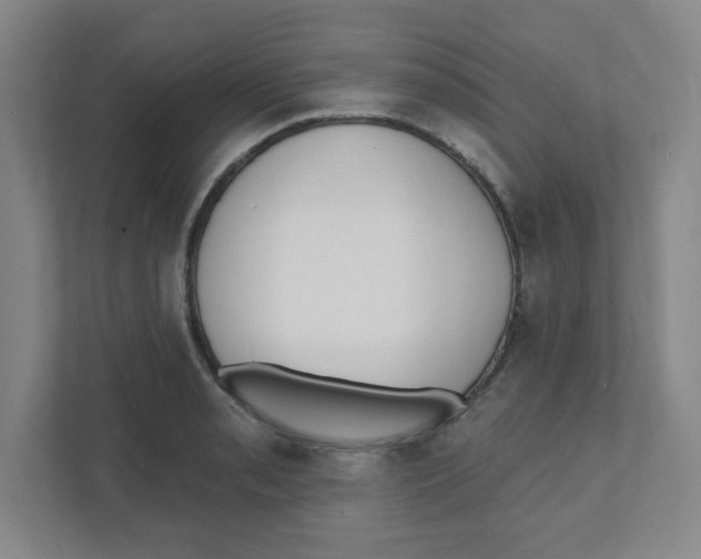 X0000111461085200908101050