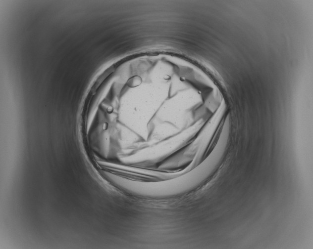 X0000111461086200908101050