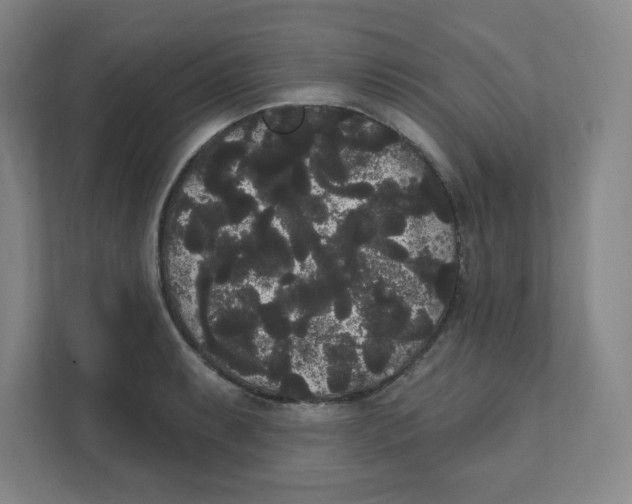 X0000111461087200908101050