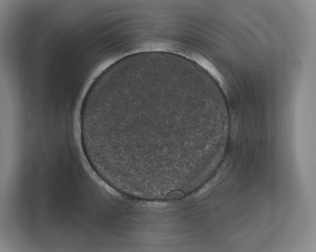 X0000111461088200908101050