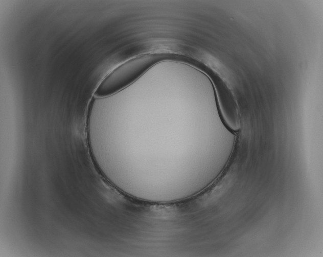 X0000111461089200908101050