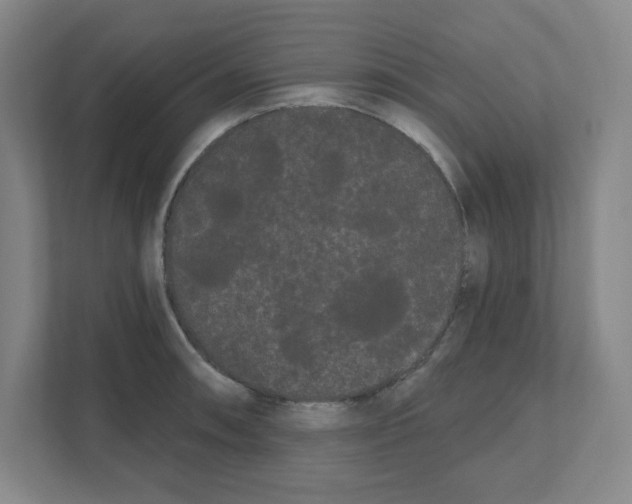 X0000111461090200908101050