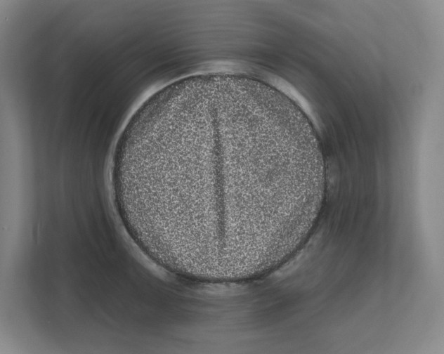 X0000111461091200908101049