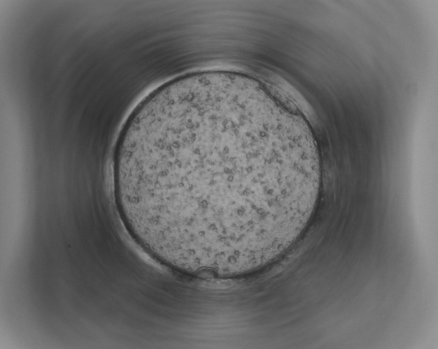 X0000111461092200908101049