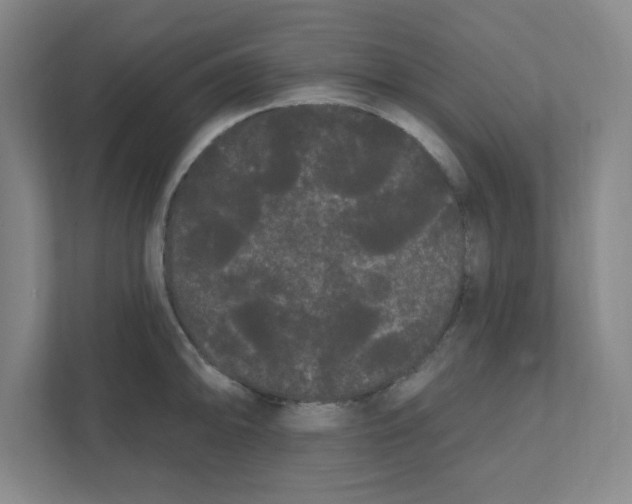 X0000111461094200908101049