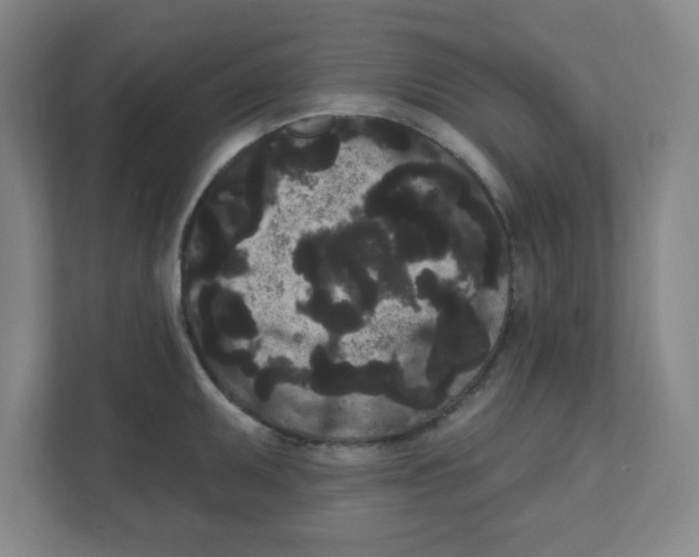 X0000111461095200908101049