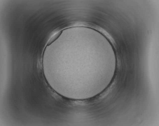 X0000111461097200908101049