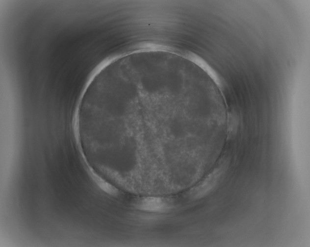 X0000111461098200908101049