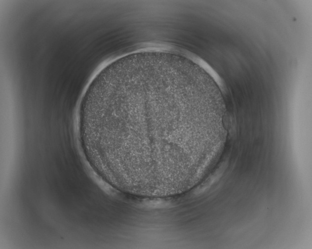 X0000111461099200908101049