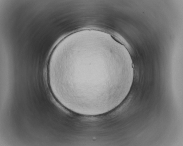 X0000111461100200908101049