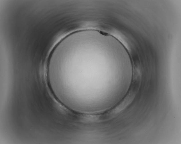 X0000111461101200908101049