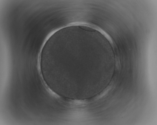X0000111461102200908101049