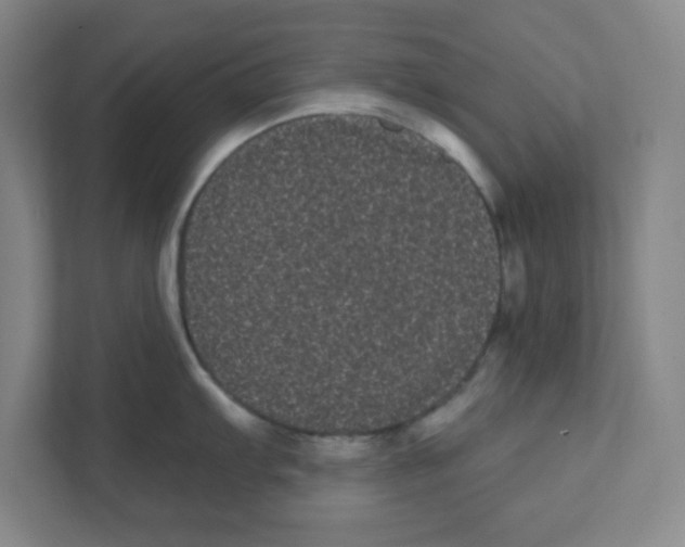 X0000111461103200908101049